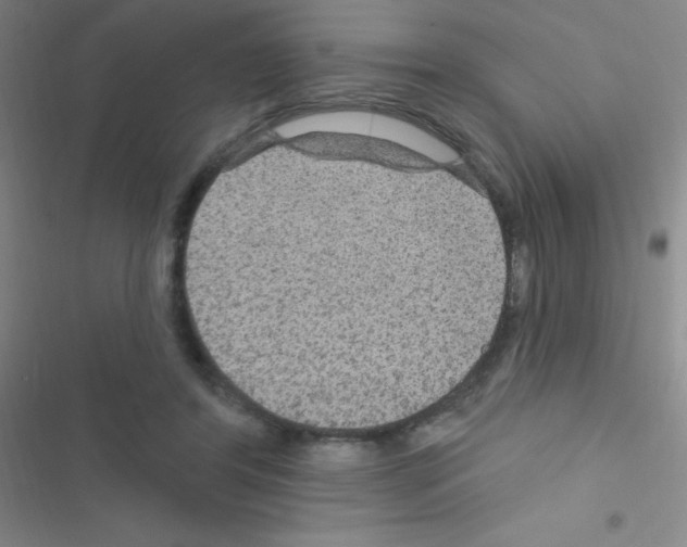 X0000116590404201001211330