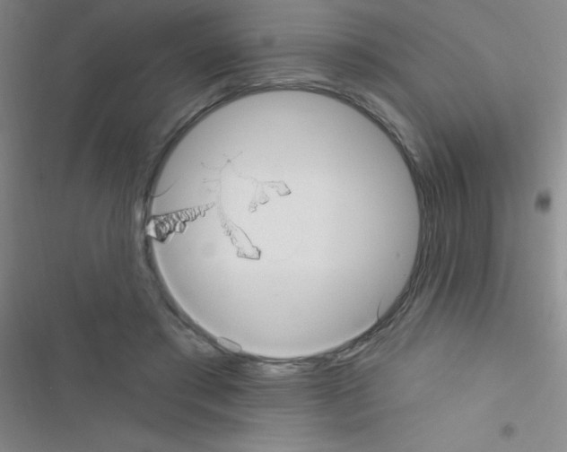 X0000116590405201001211330