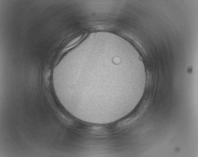 X0000116590406201001211330