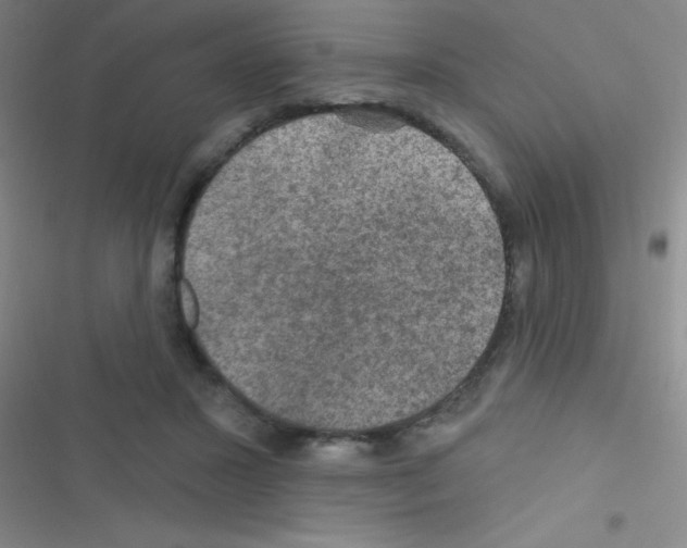 X0000116590407201001211330