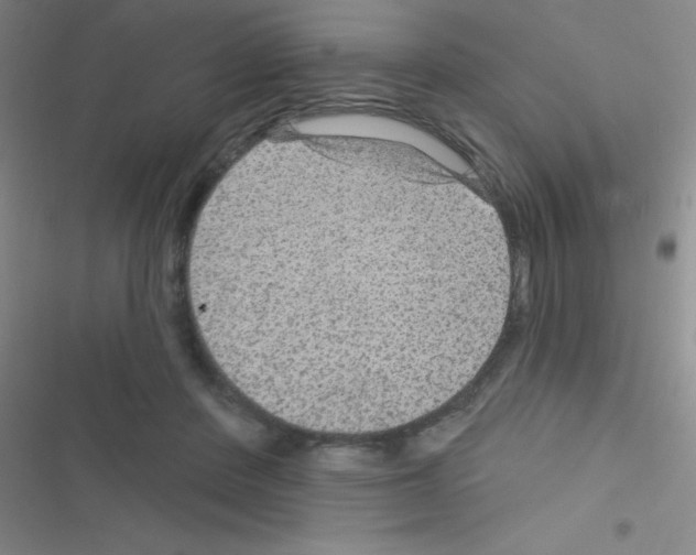 X0000116590408201001211330