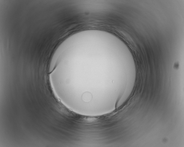 X0000116590409201001211330