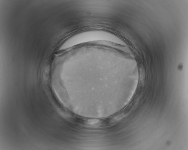 X0000116590410201001211330