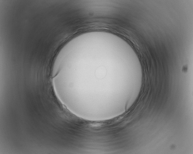 X0000116590411201001211330