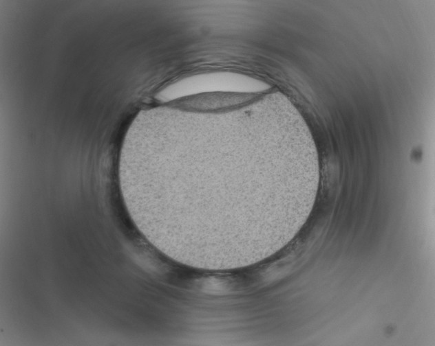 X0000116590412201001211330