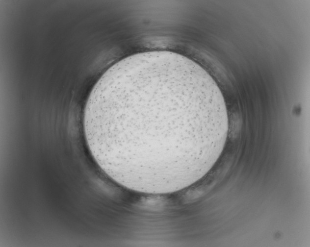 X0000116590414201001211330