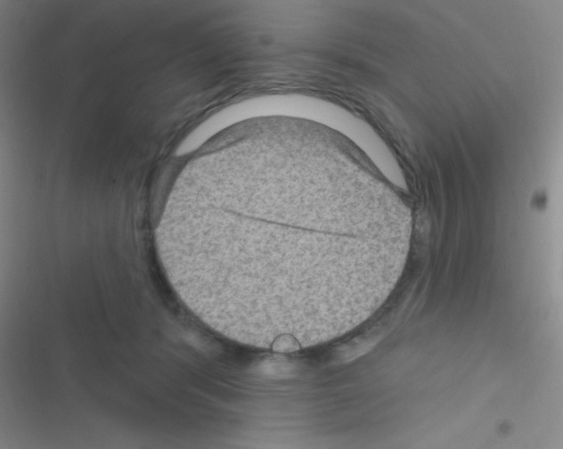 X0000116590416201001211330