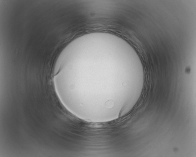 X0000116590419201001211330