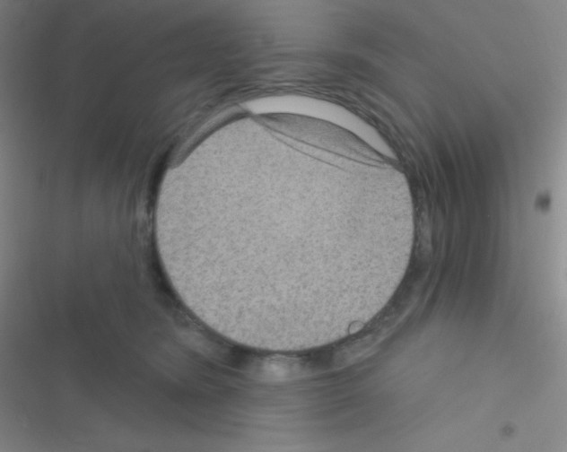 X0000116590420201001211330