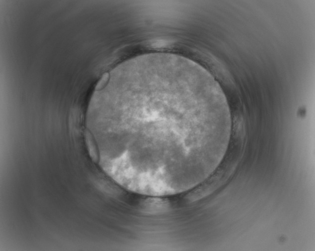 X0000116590421201001211330