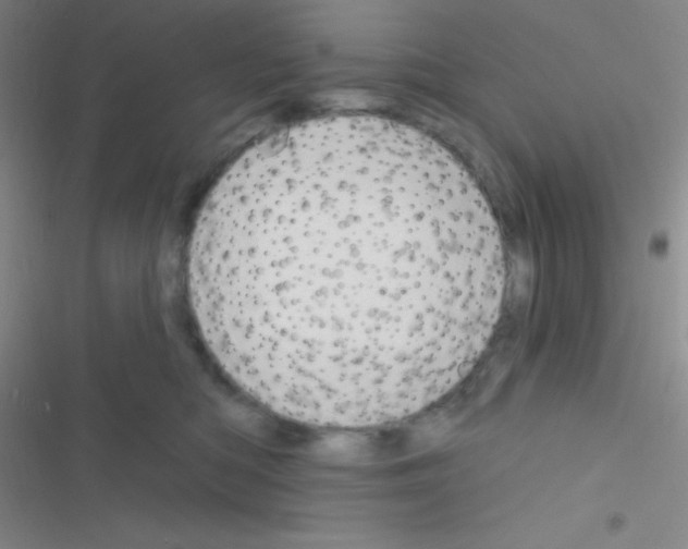 X0000116590422201001211330