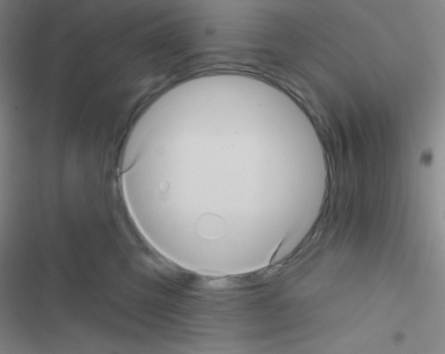 X0000116590423201001211330