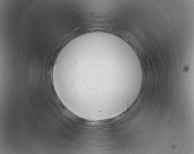 X0000116590425201001211330