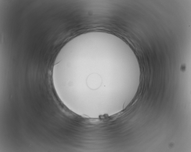 X0000116590427201001211330