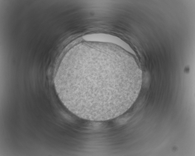 X0000116590428201001211330