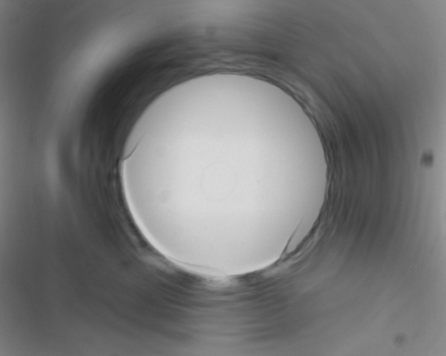 X0000116590429201001211330