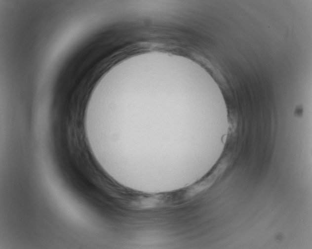 X0000116590430201001211330