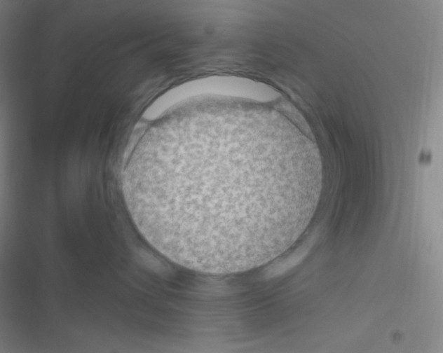 X0000116590432201001211330