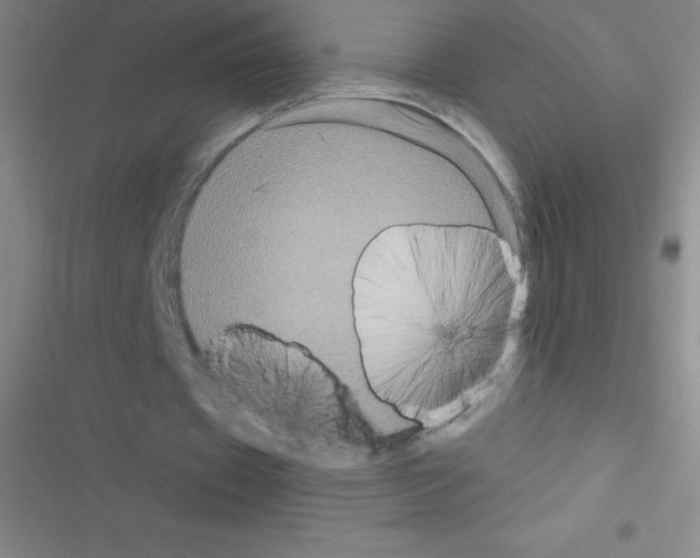 X0000116590433201001211329