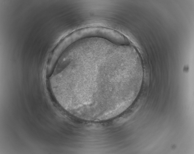 X0000116590434201001211329