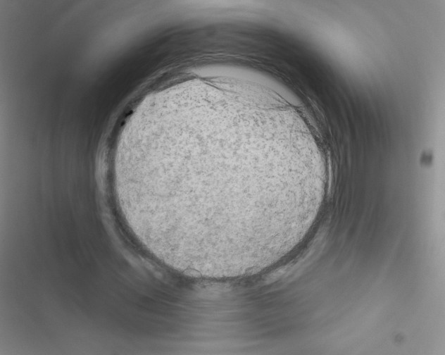 X0000116590435201001211329