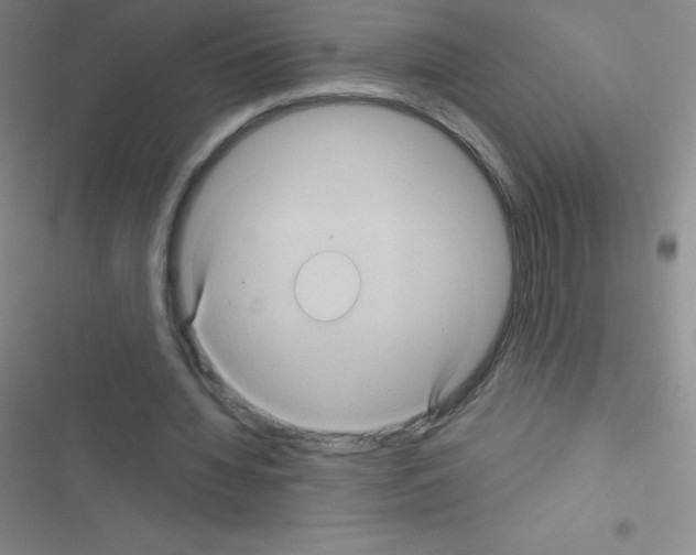 X0000116590436201001211329