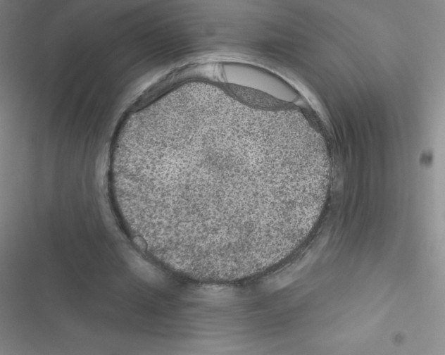 X0000116590437201001211329