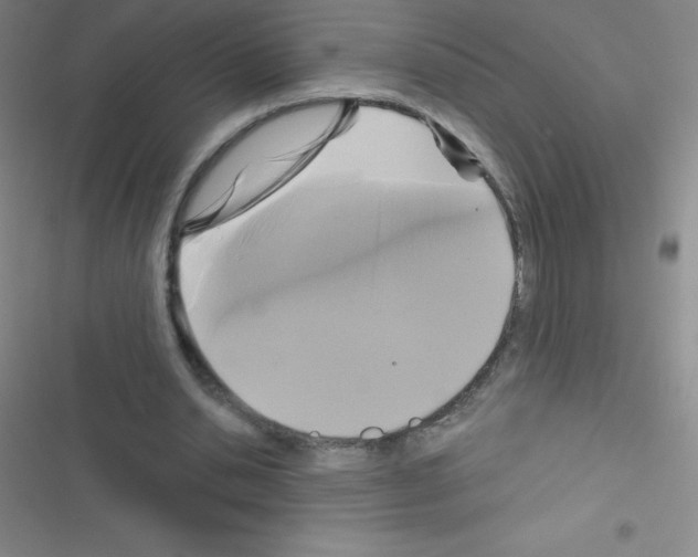 X0000116590438201001211329