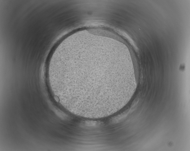 X0000116590439201001211329