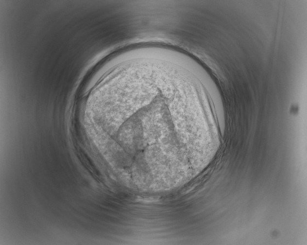 X0000116590440201001211329