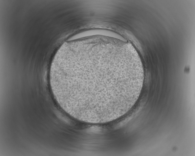 X0000116590441201001211329