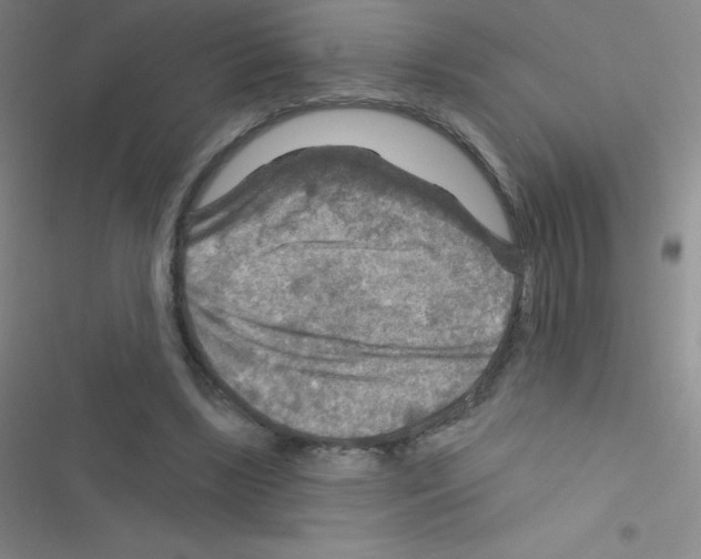 X0000116590443201001211329