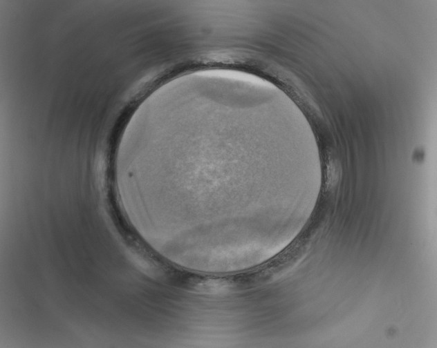 X0000116590444201001211329