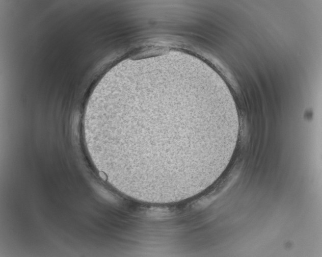 X0000116590445201001211329