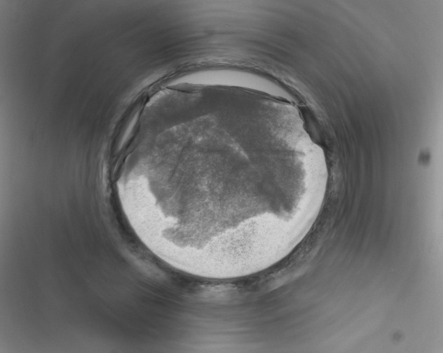 X0000116590446201001211329