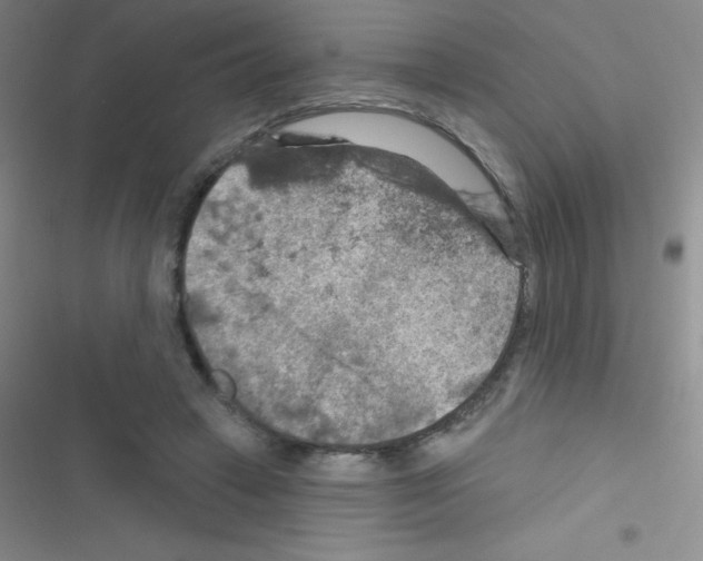 X0000116590449201001211329