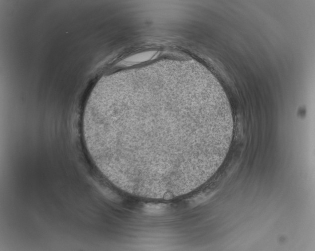 X0000116590450201001211329