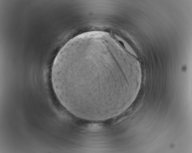 X0000116590451201001211329