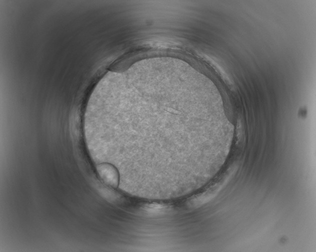 X0000116590453201001211329