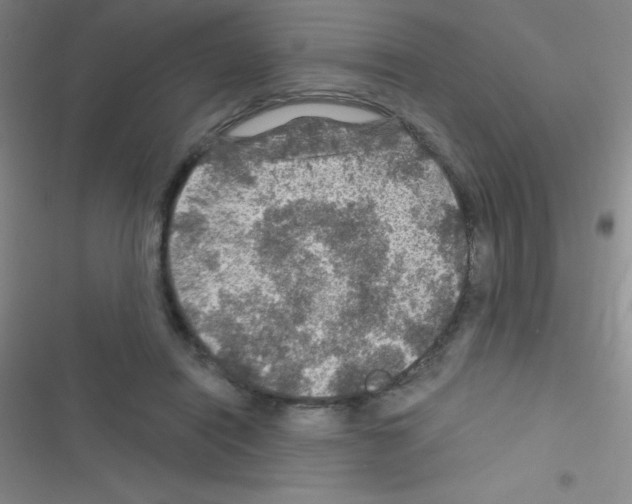 X0000116590454201001211329