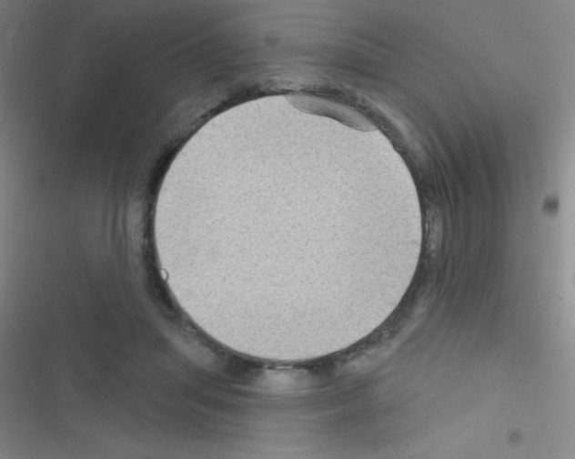 X0000116590455201001211329