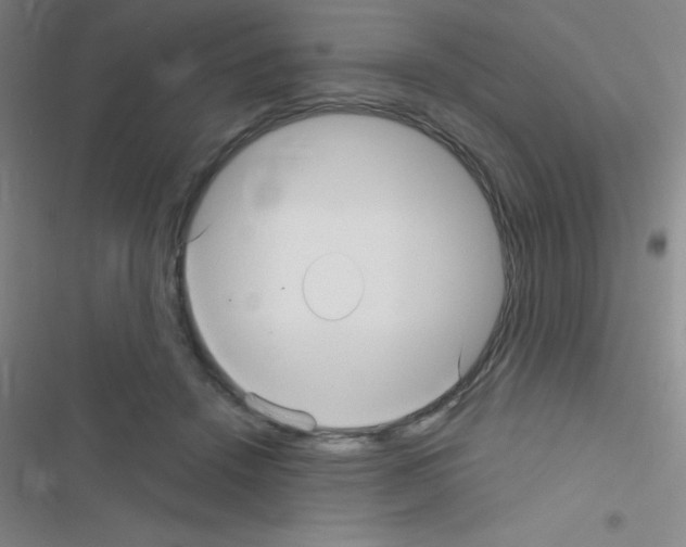 X0000116590456201001211329