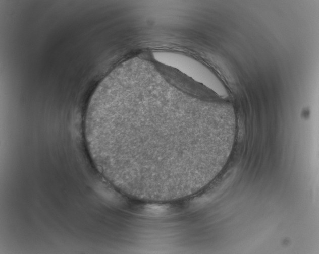 X0000116590457201001211329