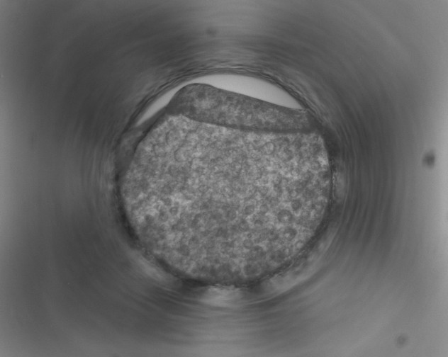 X0000116590458201001211329