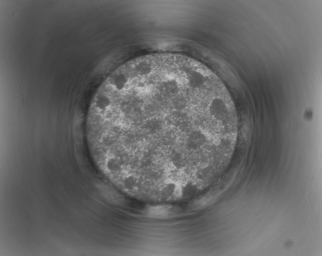 X0000116590461201001211329