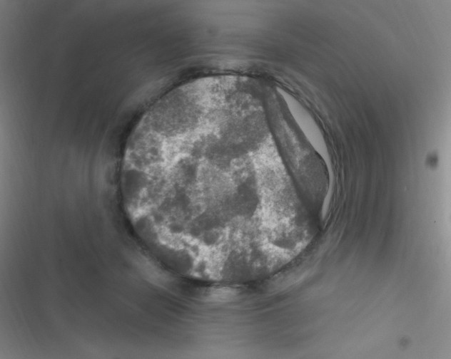 X0000116590462201001211329