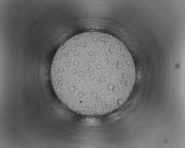 X0000116590464201001211330