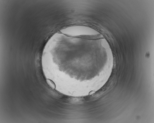 X0000116590465201001211330