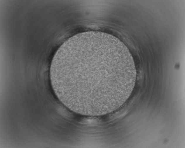 X0000116590466201001211330