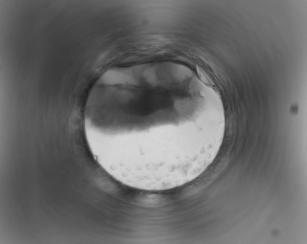 X0000116590467201001211330